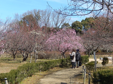 DSCN0749