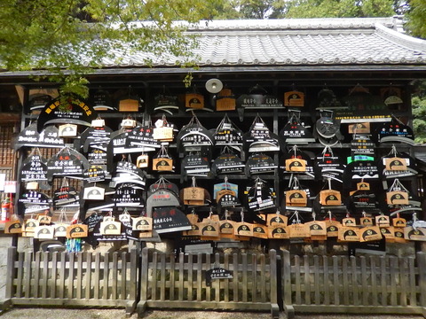 DSCN7622