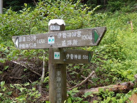 DSCN7587