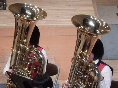 DSCN8601