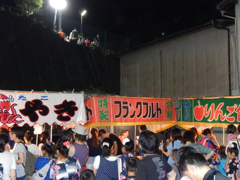 DSCN5252