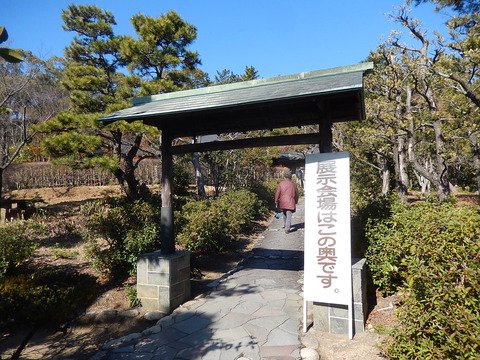 DSCN0746