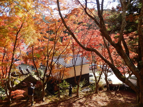 DSCN8296