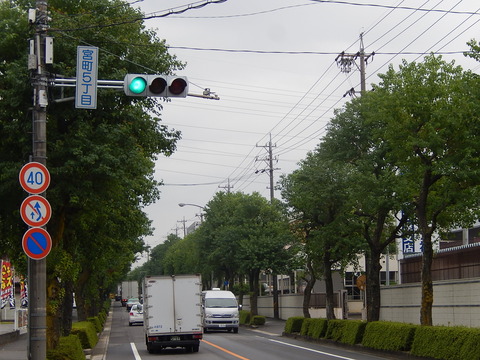 DSCN6601