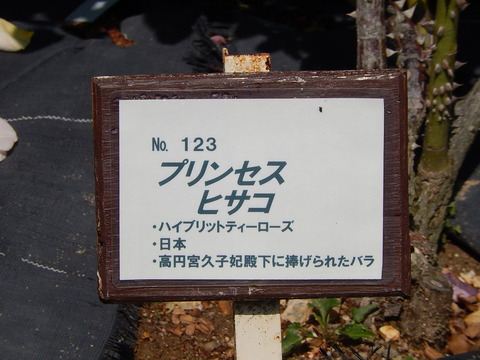 DSCN1840
