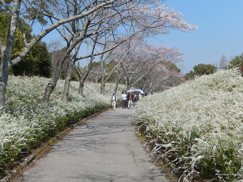 DSCN9841