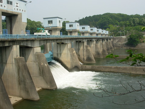 DSCN8275