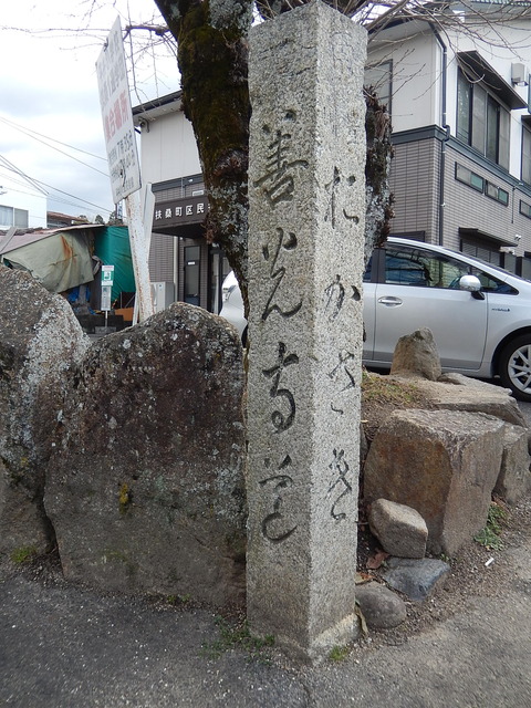 DSCN9907