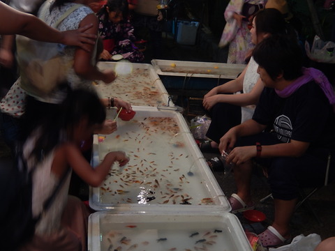 DSCN5185