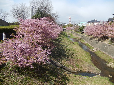 DSCN9454