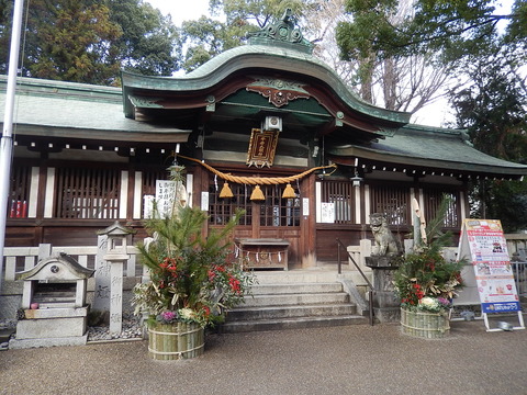 DSCN9220