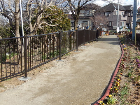 DSCN7646