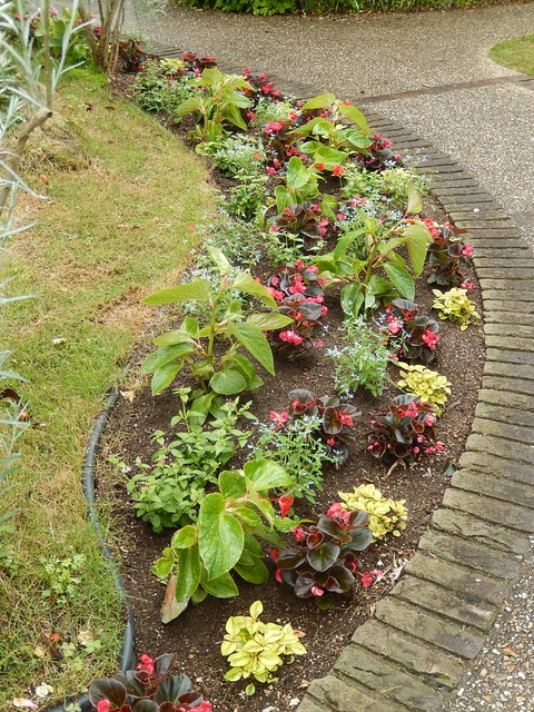 DSCN9609
