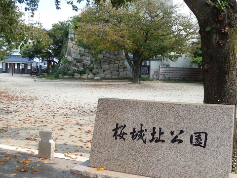 DSCN6929