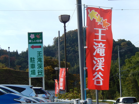 DSCN9309