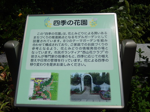 DSCN3871