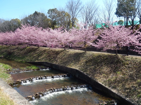 DSCN1513