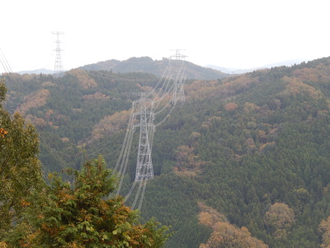 DSCN7844