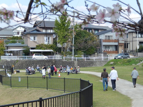 DSCN7149