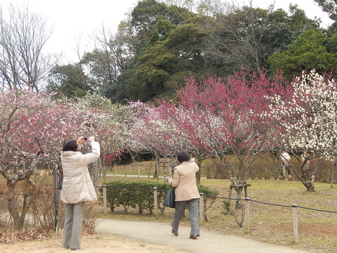 DSCN1393
