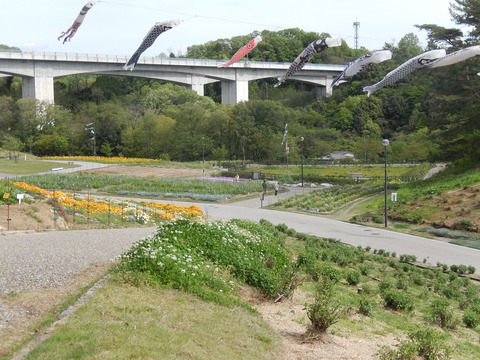 DSCN3309