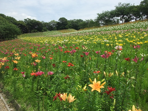 DSCF0065