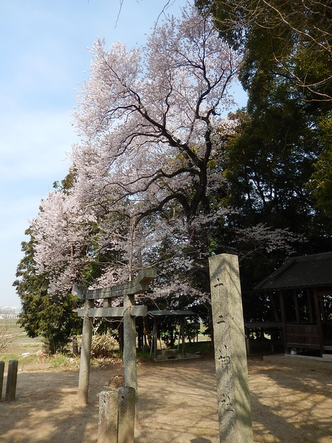 DSCN1881