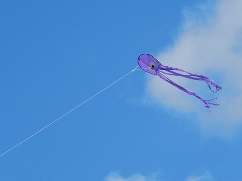 DSCN1310 (2)