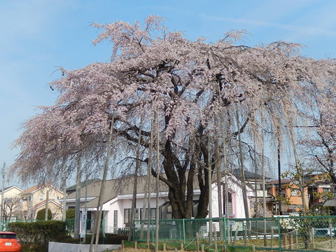 DSCN2359