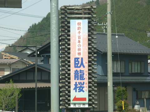 DSCN1082