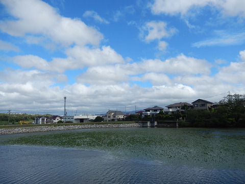 DSCN5984