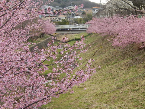 DSCN1793