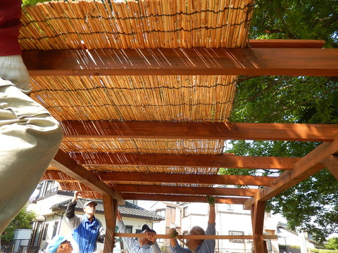 DSCN9560