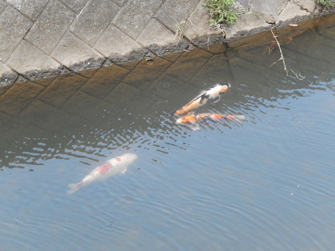 DSCN9429