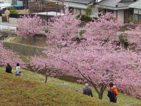 DSCN1809
