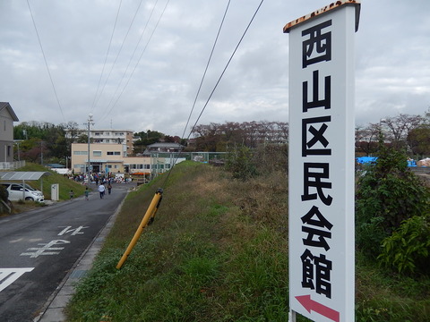DSCN8595