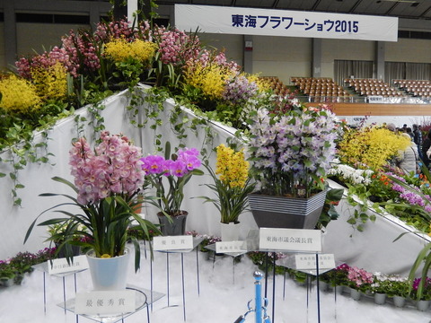 DSCN1539