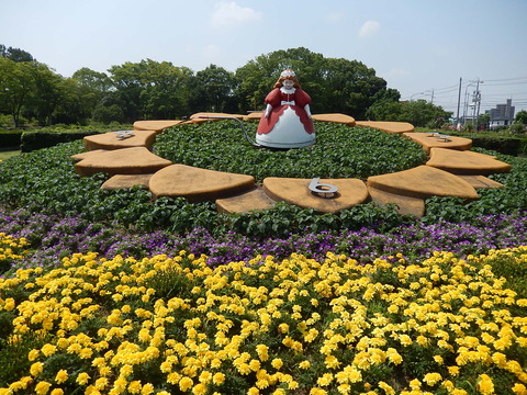 DSCN3546
