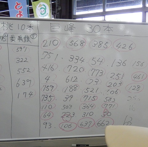 DSCN4833 (2)