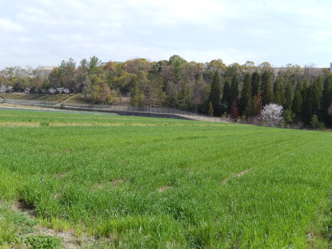 DSCN0347