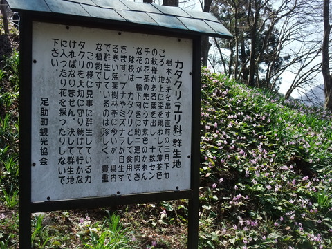 DSCF0056