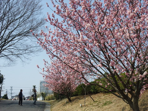 DSCF0029