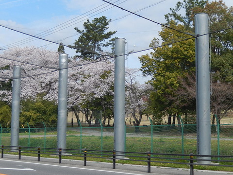 DSCN0339