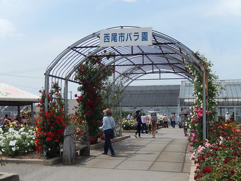 DSCN2063