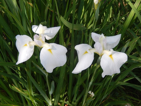 DSCN2837