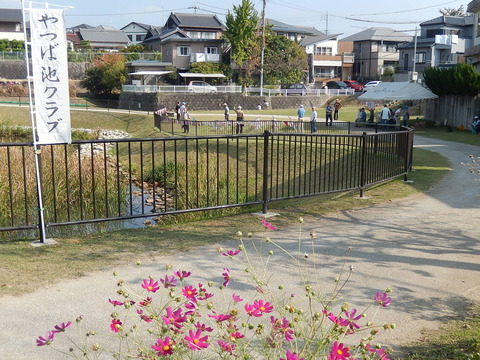 DSCN7417