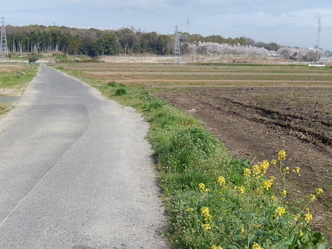 DSCN0293