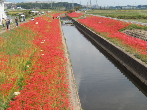 DSCN4326