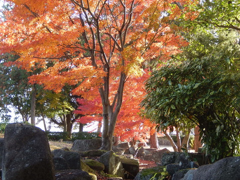 DSCN0408