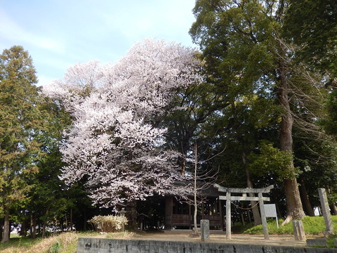 DSCN1888